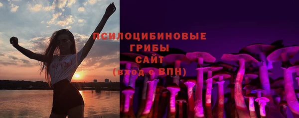 винт Дмитриев