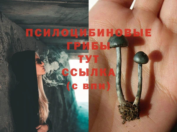 меф VHQ Гусев