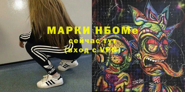 PSILOCYBIN Гусиноозёрск