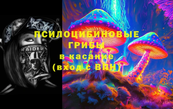 PSILOCYBIN Гусиноозёрск