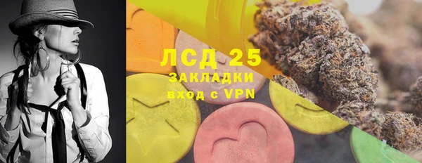 PSILOCYBIN Гусиноозёрск